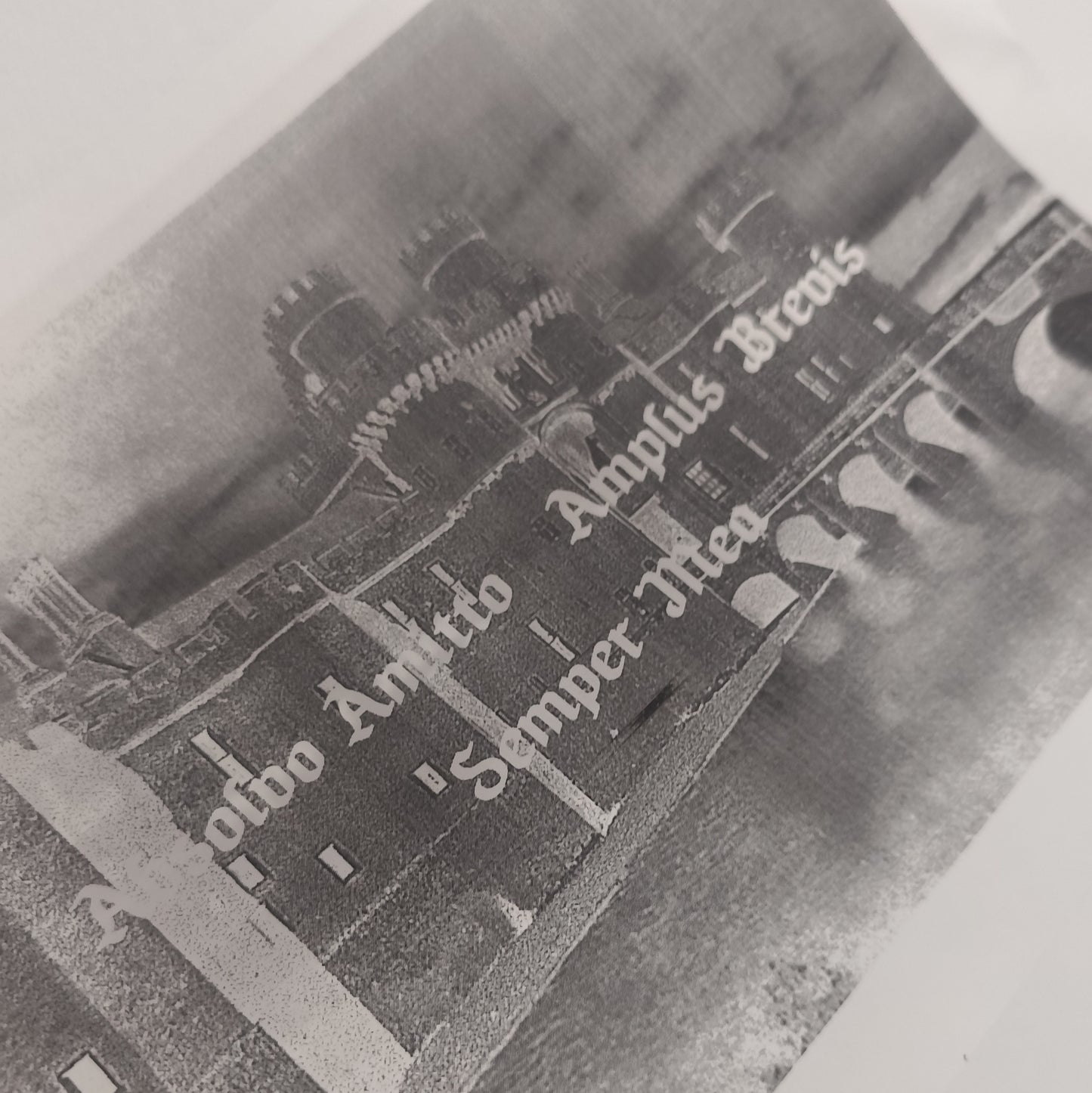 Cursed Painting XRay