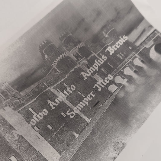 Cursed Painting XRay